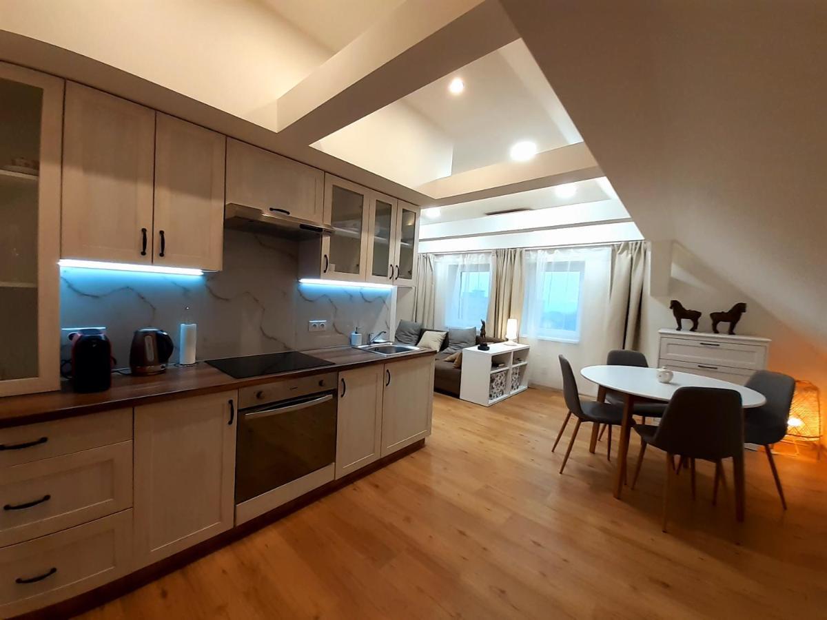Apartmany V Centru - Lazne Kynzvart Dış mekan fotoğraf