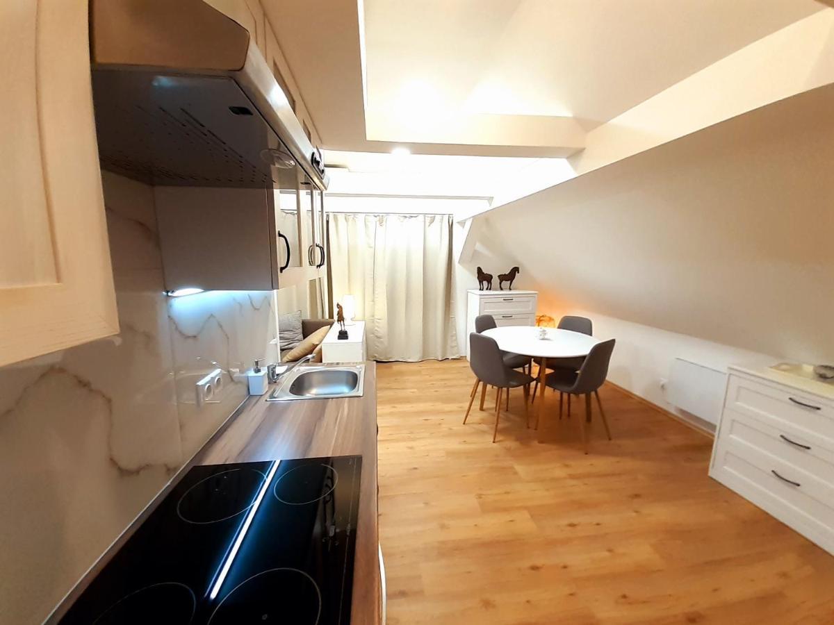 Apartmany V Centru - Lazne Kynzvart Dış mekan fotoğraf